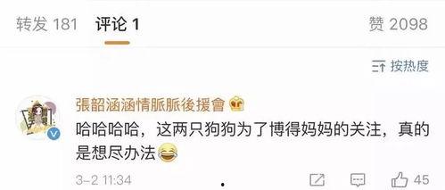 吃瓜娱乐账号起名大全最新 第1张 吃瓜娱乐账号起名大全最新 第1张